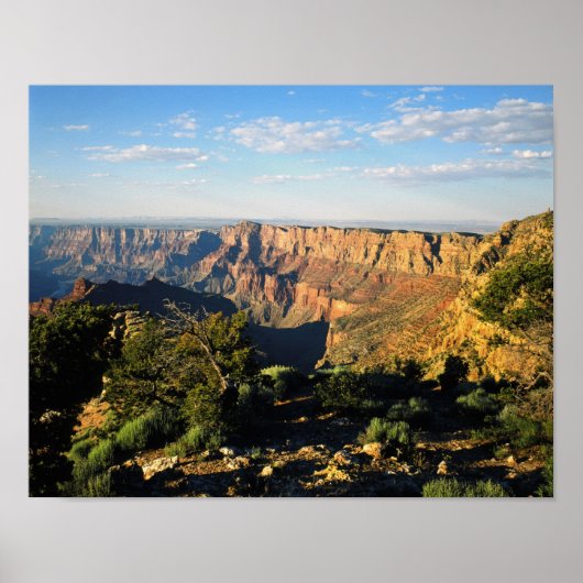 USA, Arizona, Grand Canyon National Park, View Poster (Vorne)