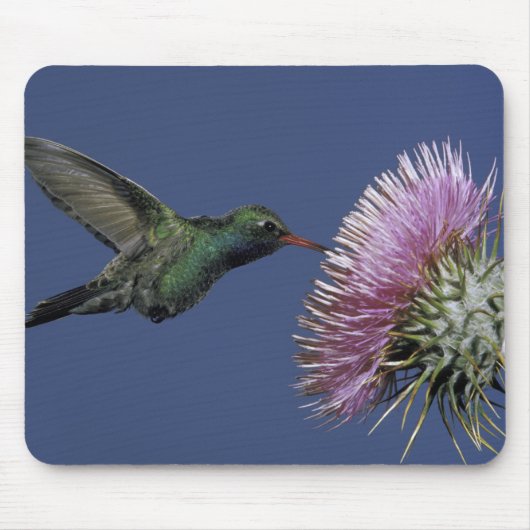 USA, Arizona. großflächig Mousepad (Vorne)