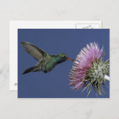 USA, Arizona. großflächig Postkarte (Vorne/Hinten)