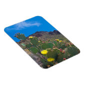 USA, Arizona. Kakteen in den Hügeln Magnet (Rechte Seite)