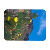 USA, Arizona. Kakteen in den Hügeln Magnet (Horizontal)