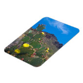 USA, Arizona. Kakteen in den Hügeln Magnet (Linke Seite)