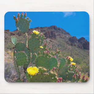 USA, Arizona. Kakteen Mousepad