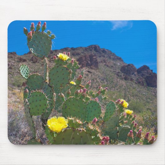 USA, Arizona. Kakteen Mousepad (Vorne)