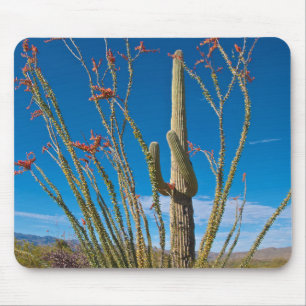 USA, Arizona. Kaktus im Saguaro-Nationalpark Mousepad