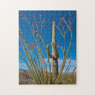 USA, Arizona. Kaktus im Saguaro-Nationalpark Puzzle