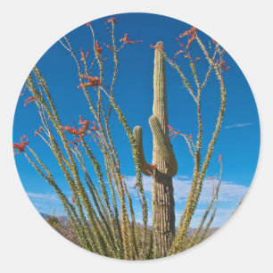 USA, Arizona. Kaktus im Saguaro-Nationalpark Runder Aufkleber