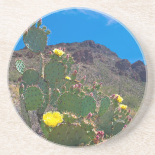 USA, Arizona. Kaktus in den Hügeln Getränkeuntersetzer