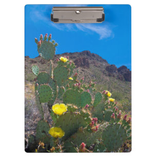 USA, Arizona. Kaktus in den Hügeln Klemmbrett
