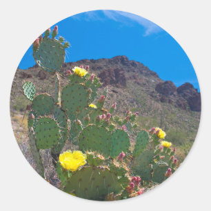 USA, Arizona. Kaktus In Den Hügeln Runder Aufkleber