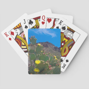 USA, Arizona. Kaktus in den Hügeln Spielkarten