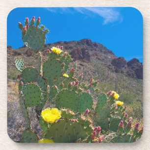 USA, Arizona. Kaktus in den Hügeln Untersetzer