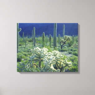 USA, Arizona, Organ Pipe Cactus National Leinwanddruck