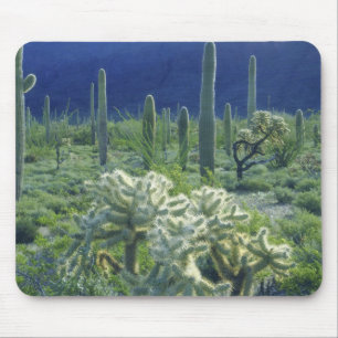 USA, Arizona, Organ Pipe Cactus National Mousepad