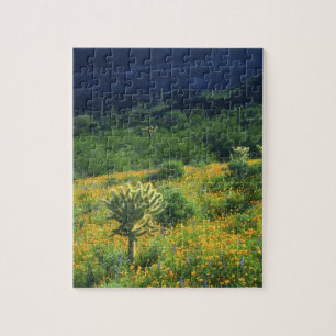 USA, Arizona, Organ Pipe Cactus National Puzzle