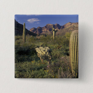 USA, Arizona, Organ Pipe National Monument. Button