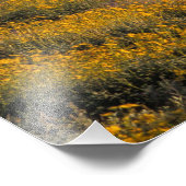 USA, Arizona, Orgelpfeife Cactus National 2 Fotodruck (Ecke)