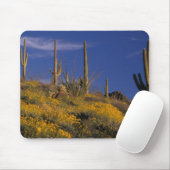 USA, Arizona, Orgelpipe Cactus National 2 Mousepad (Mit Mouse)