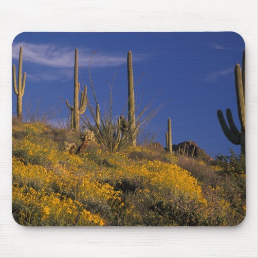 USA, Arizona, Orgelpipe Cactus National 2 Mousepad (Vorne)