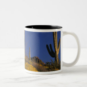 USA, Arizona, Orgelpipe Cactus National 2 Zweifarbige Tasse