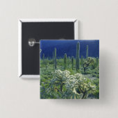 USA, Arizona, Orgelpipe Cactus National Button (Vorne & Hinten)