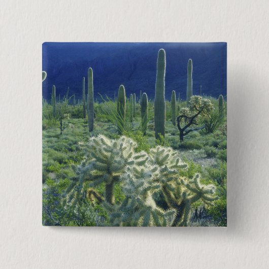 USA, Arizona, Orgelpipe Cactus National Button (Vorderseite)