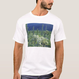 USA, Arizona, Orgelpipe Cactus National T-Shirt