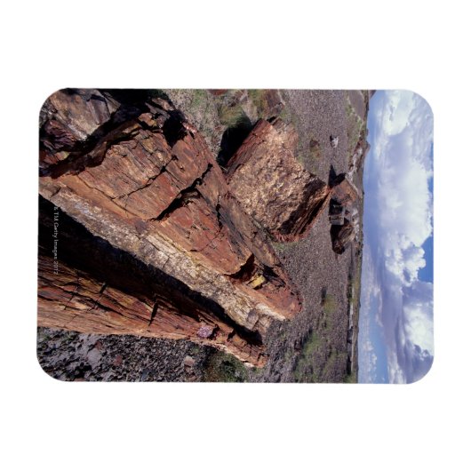 USA, Arizona, Petrified Forest National Park, 2 Magnet (Horizontal)