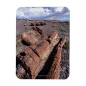 USA, Arizona, Petrified Forest National Park, 2 Magnet (Vertikal)