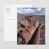 USA, Arizona, Petrified Forest National Park, 2 Postkarte (Vorne/Hinten)