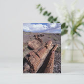 USA, Arizona, Petrified Forest National Park, 2 Postkarte (Stehend Vorderseite)