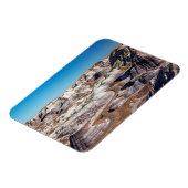 USA, Arizona, Petrified Forest National Park Magnet (Linke Seite)