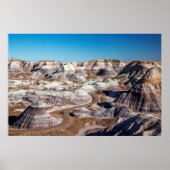 USA, Arizona, Petrified Forest National Park Poster (Vorne)