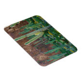 USA, Arizona. Saguaro Cactus field by Cliff Magnet (Rechte Seite)