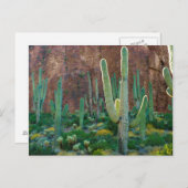 USA, Arizona. Saguaro Cactus field by Cliff Postkarte (Vorne/Hinten)