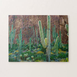 USA, Arizona. Saguaro-Kaktusfeld an einer Klippe Puzzle
