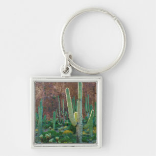 USA, Arizona. Saguaro-Kaktusfeld an einer Klippe Schlüsselanhänger