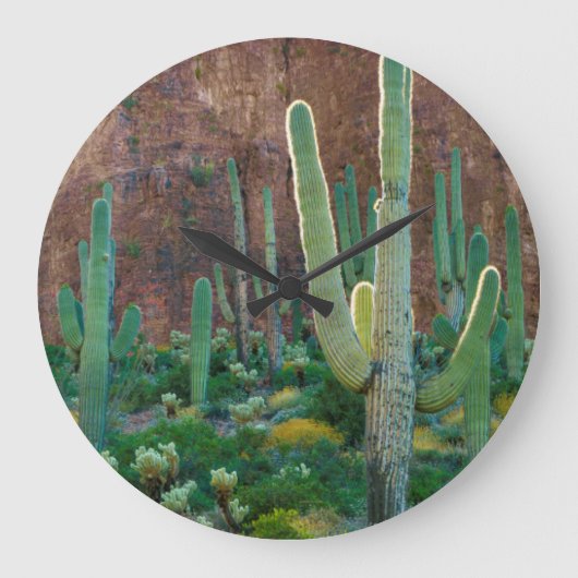 USA, Arizona. Saguaro-Kaktusfeld durch eine Klippe Große Wanduhr (Vorderseite)