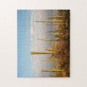 USA, Arizona, Saguaro National Park, Saguaro Puzzle (Vertikal)