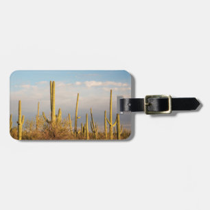 USA, Arizona, Saguaro-Nationalpark, Saguaro Gepäckanhänger