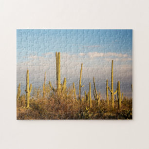 USA, Arizona, Saguaro-Nationalpark, Saguaro Puzzle