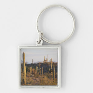 USA, Arizona, Sonoran Desert, Ajo, Ajo 2 Schlüsselanhänger