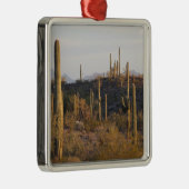 USA, Arizona, Sonoran Desert, Ajo, Ajo 2 Silbernes Ornament (Rechts)