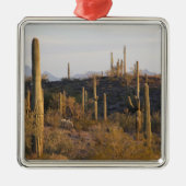 USA, Arizona, Sonoran Desert, Ajo, Ajo 2 Silbernes Ornament (Vorne)