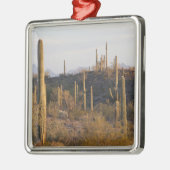 USA, Arizona, Sonoran Desert, Ajo, Ajo 2 Silbernes Ornament (Links)