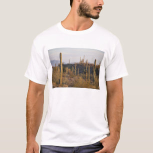 USA, Arizona, Sonoran-Wüste, Ajo, Ajo 2 T-Shirt