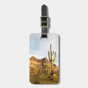 USA, Arizona, Tonto National Forest, Picketpost 2 Gepäckanhänger