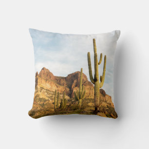 USA, Arizona, Tonto National Forest, Picketpost 2 Kissen