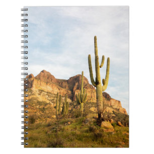 USA, Arizona, Tonto National Forest, Picketpost 2 Notizblock