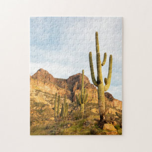 USA, Arizona, Tonto National Forest, Picketpost 2 Puzzle